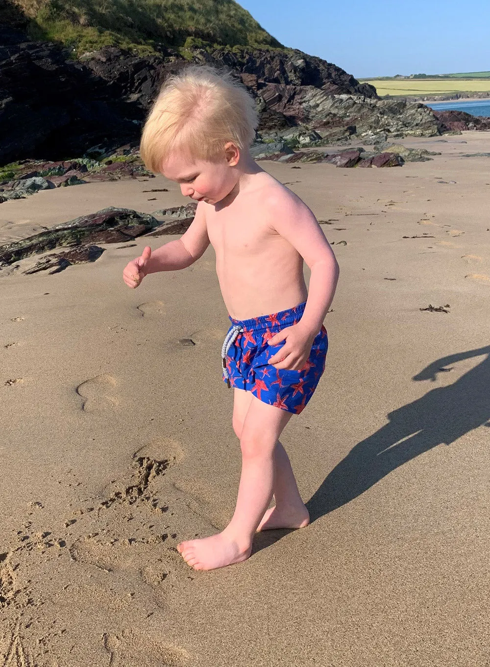 Baby Swimshorts in Starfish