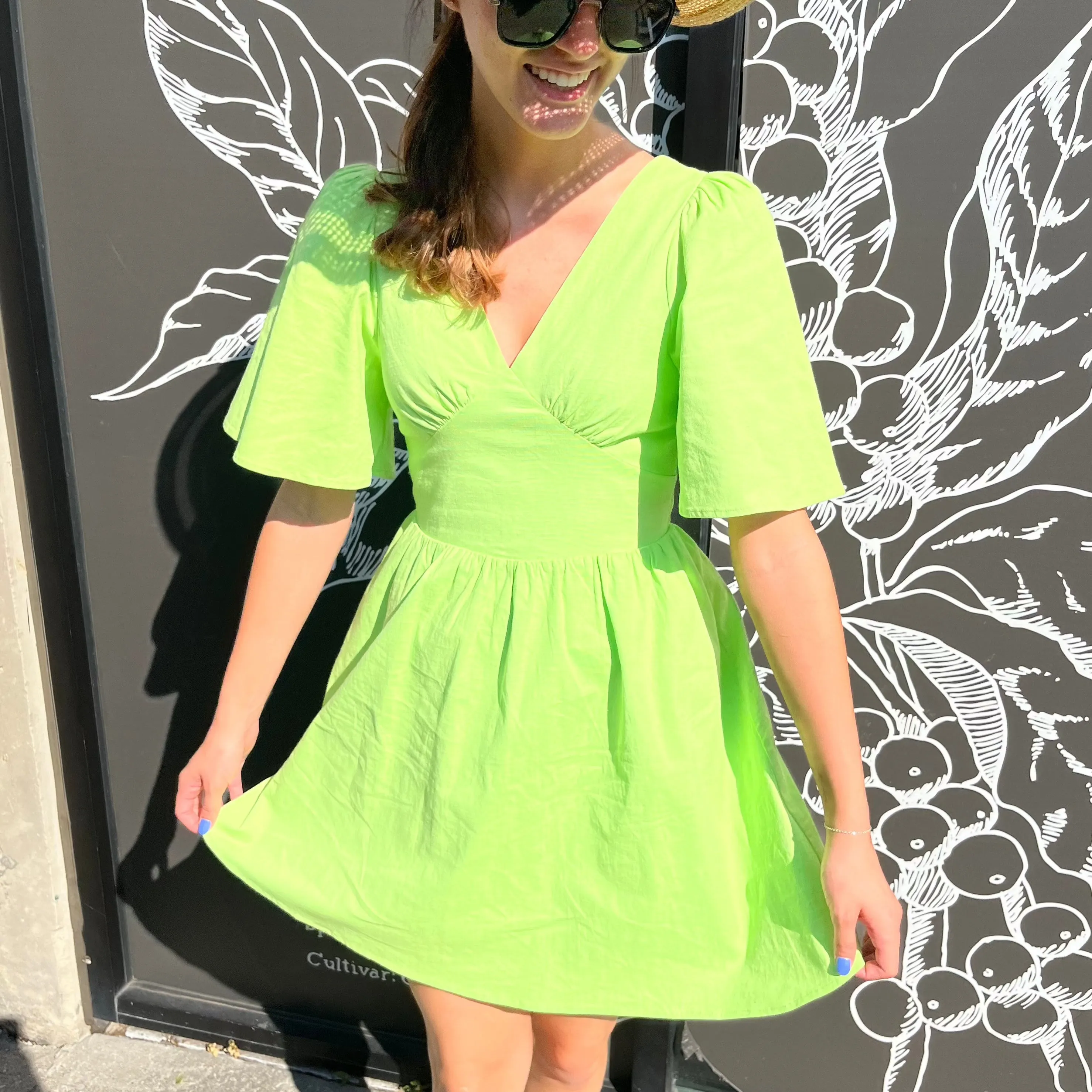 Break Away Butterfly Sleeve V-Neck Mini Dress