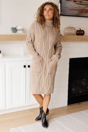 Bundled Beauty Turtleneck Sweater Dress